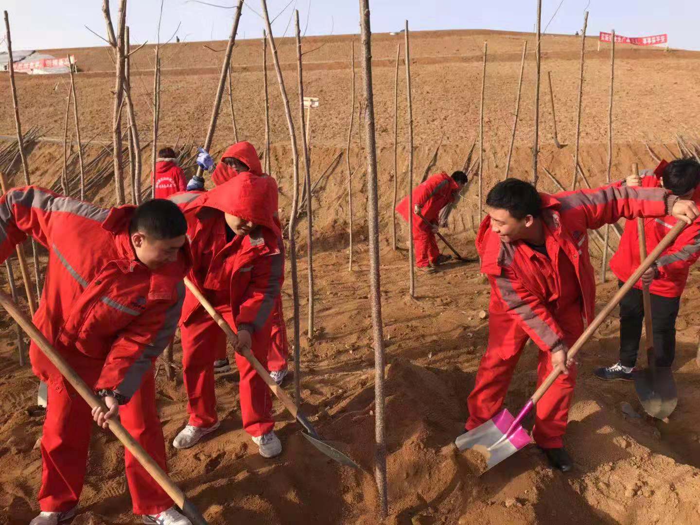 中国中铁工业山桥团委志愿栽植青年林活动圆满结束 中国中铁工业山桥团委志愿栽植青年林活动圆满结束